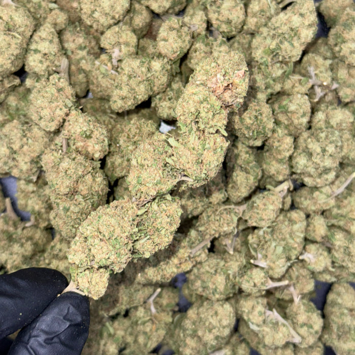 WHITE WIDOZ - FLEUR CBD